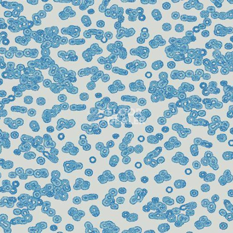 Ковролин Forbo Flotex Sottsass Bacteria 990202 фото 1 | FLOORDEALER