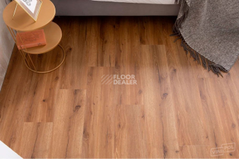 Vinilpol Glue 2мм 8833 EIR ДУБ САН-РЕМО фото 9 | FLOORDEALER