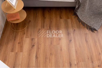 Vinilpol Glue 2мм 8833 EIR ДУБ САН-РЕМО фото 9 | FLOORDEALER