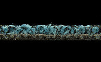 Balsan Progression 150 фото 3 | FLOORDEALER