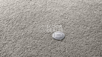 Ковролин Vorwerk Superior 1065/Viola Vorwerk 5n65 фото 1 | FLOORDEALER