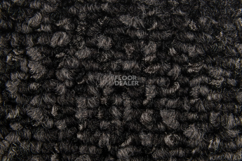 Balsan Take a Walk 790 Take a Walk фото 4 | FLOORDEALER