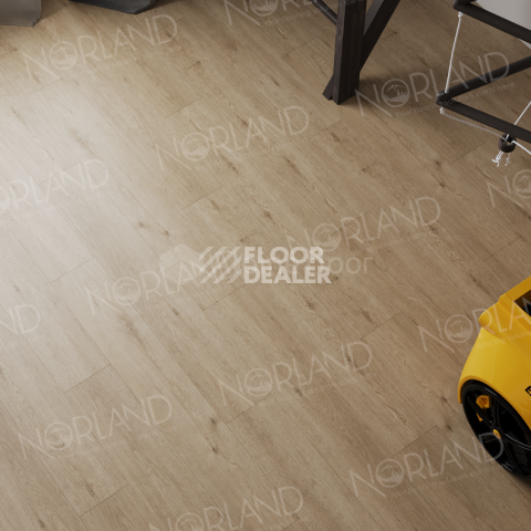 Norland Sigrid Superior 8мм Abbi 1008-1 ABA фото 4 | FLOORDEALER