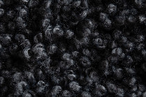 AW Masquerade Lamia 97 фото 3 | FLOORDEALER