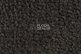 Balsan Les Best S 990 фото 2 | FLOORDEALER