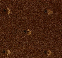 Ковролин Pullman Associated Weavers 44 фото 1 | FLOORDEALER