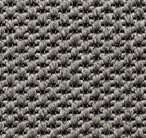 Ковролин Carpet Concept Eco Tre 681011 фото 1 | FLOORDEALER