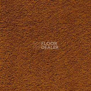 Ковролин AW Softissimo 80 фото 1 | FLOORDEALER