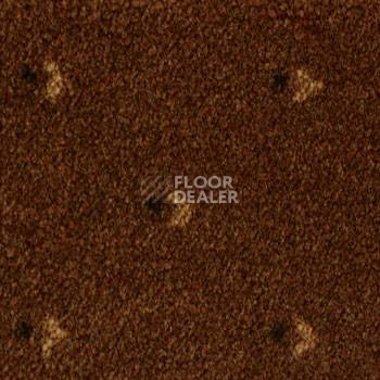 Ковролин Pullman Associated Weavers 44 фото 1 | FLOORDEALER