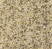 Ковролин AW Dakota 34 фото 1 | FLOORDEALER