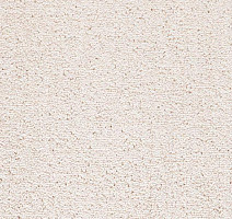 Ковролин Balta TRINITY Trinity 0640 фото 1 | FLOORDEALER