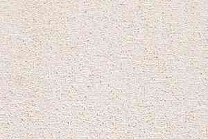 Ковролин Balta TRINITY Trinity 0640 фото  | FLOORDEALER