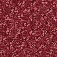 Balsan Aquarelle Aquarelle 545 фото 1 | FLOORDEALER