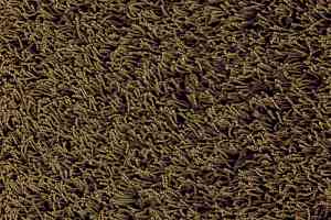 Ковролин Lano Comtessa 430 фото  | FLOORDEALER