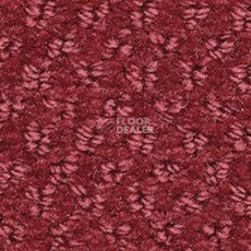Ковролин Balsan Aquarelle Aquarelle 545 фото 1 | FLOORDEALER