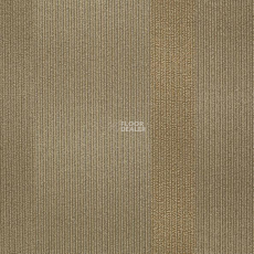 Shaw Hybrid 64755 фото 1 | FLOORDEALER