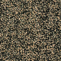 Ковролин AW Dakota 95 фото 1 | FLOORDEALER