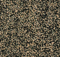 Ковролин AW Dakota 95 фото 1 | FLOORDEALER