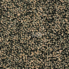 Ковролин AW Dakota 95 фото 1 | FLOORDEALER