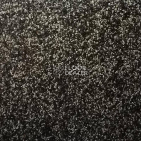 Ковролин Дюна Тафт Volterra 327 фото 1 | FLOORDEALER