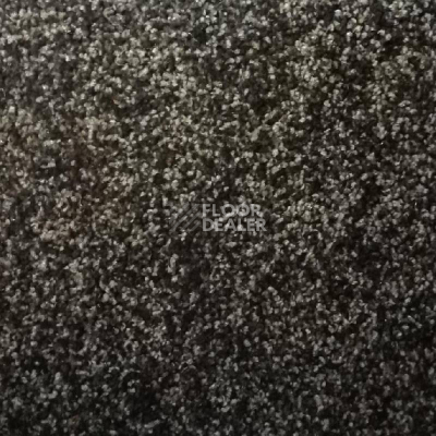 Ковролин Дюна Тафт Volterra 327 фото 1 | FLOORDEALER