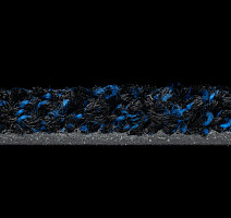 Forbo Coral Luxe 2917 Sapphire фото 3 | FLOORDEALER