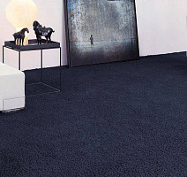 Vorwerk Superior 1041 Vorwerk 3q43 фото 2 | FLOORDEALER