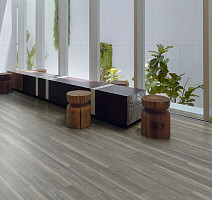 Polyflor Expona Wood