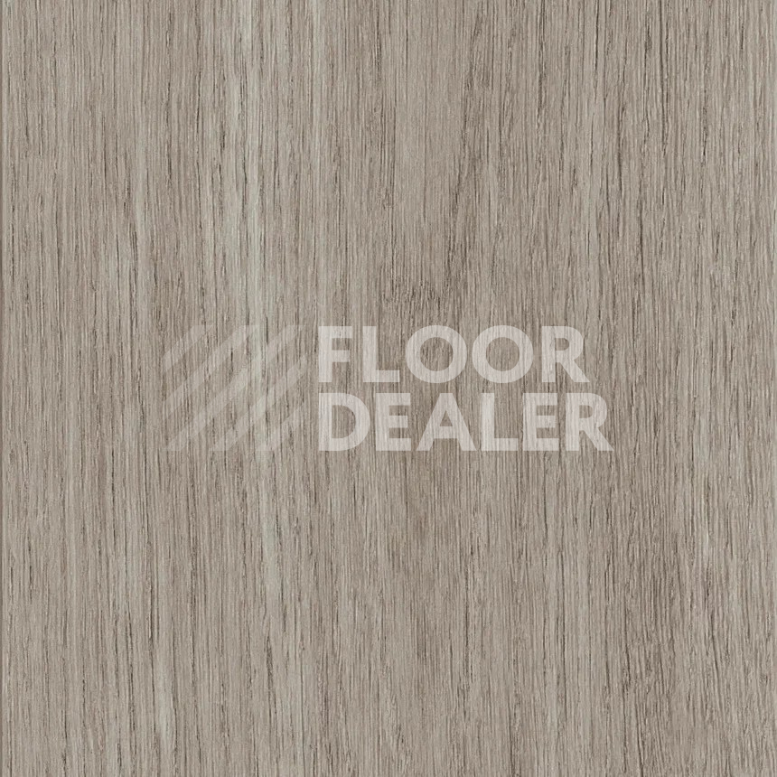 Кварцвиниловые полы Maximus Plank New England Oak Misty фото 1 | FLOORDEALER