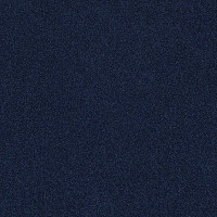 Ковровая плитка Interface Polichrome 7586 Indigo фото 1 | FLOORDEALER