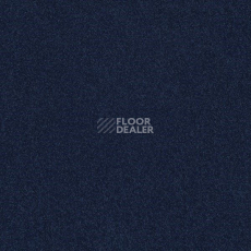 Ковровая плитка Interface Polichrome 7586 Indigo фото 1 | FLOORDEALER