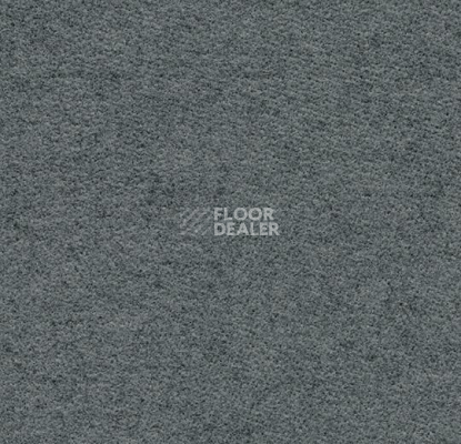 Ковролин Flotex wonderlab 07 900262 Slate фото 1 | FLOORDEALER