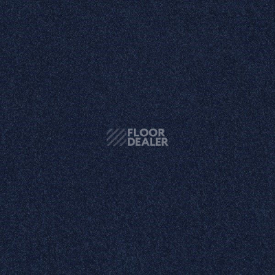 Ковровая плитка Interface Polichrome 7586 Indigo фото 1 | FLOORDEALER