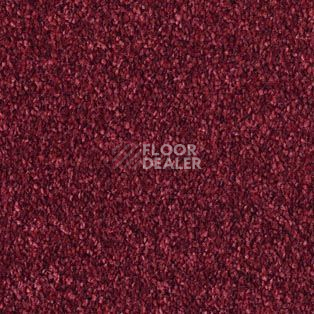 Ковролин AW Bellisima 10 фото 1 | FLOORDEALER