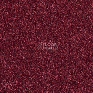 Ковролин AW Bellisima 10 фото 1 | FLOORDEALER