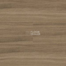Линолеум Polyflor Expona Wood 6193 фото 1 | FLOORDEALER