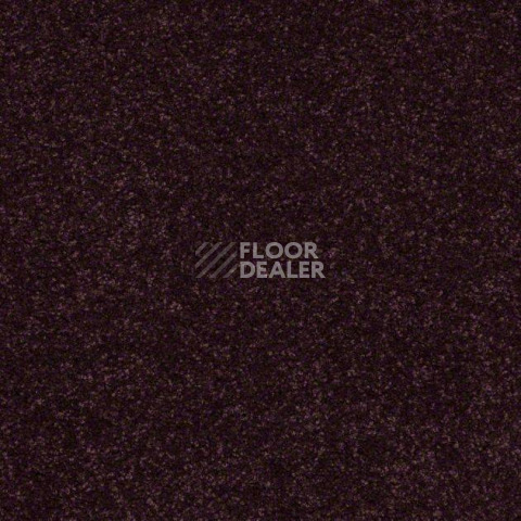 Ковролин Shaw Design Texture Platinum 921 фото 1 | FLOORDEALER
