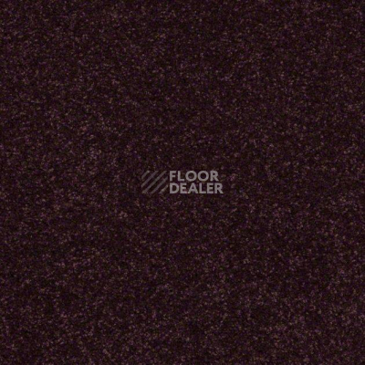 Ковролин Shaw Design Texture Platinum 921 фото 1 | FLOORDEALER