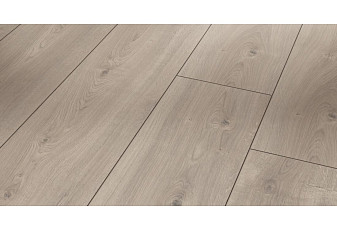 Ламинат Parador Trendtime 6 1567466 Дуб Мистраль Серый фото 1 | FLOORDEALER