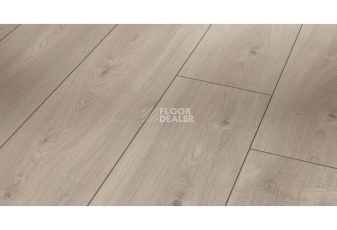 Ламинат Parador Trendtime 6 1567466 Дуб Мистраль Серый фото 1 | FLOORDEALER