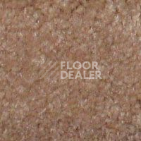 Ковролин Hidden Treasure Beaulie of America Wheat 23 фото 1 | FLOORDEALER