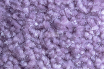 AW Masquerade Fedone 17 фото 2 | FLOORDEALER