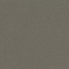 Линолеум Uni Walton 0058 Clay Grey фото 1 | FLOORDEALER