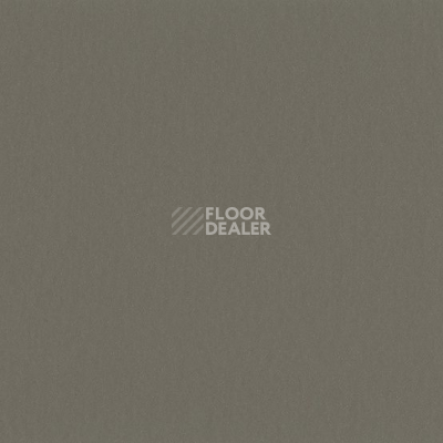 Линолеум Uni Walton 0058 Clay Grey фото 1 | FLOORDEALER