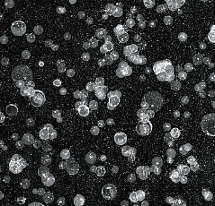 Ковролин Flotex Vision Pattern 001590 Starwalk Black фото 1 | FLOORDEALER