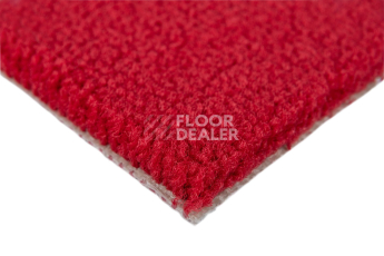 Balsan Les Best S 580 фото 3 | FLOORDEALER