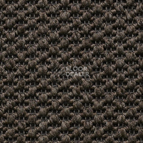 Ковролин Carpet Concept Eco Tre 681057 фото 1 | FLOORDEALER