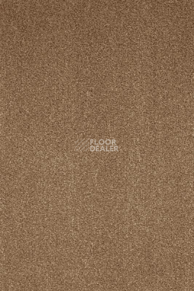 Ковролин AW Masquerade Moretta 38 фото 1 | FLOORDEALER