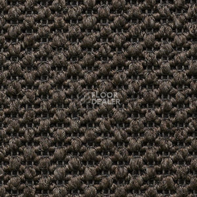 Ковролин Carpet Concept Eco Tre 681057 фото 1 | FLOORDEALER