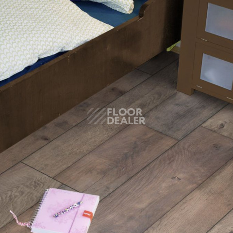Kronotex Mega Plus d4998 Дуб Береговой фото 2 | FLOORDEALER